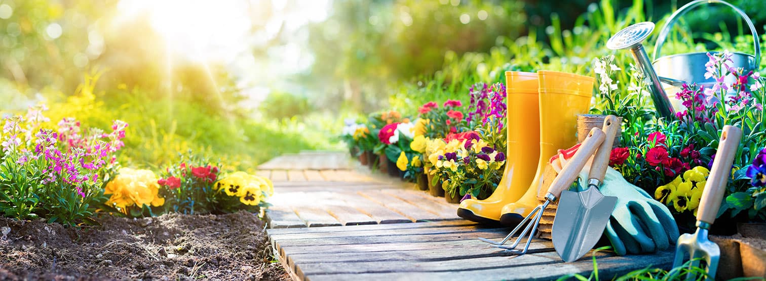 A flourishing garden grown from healthy soil